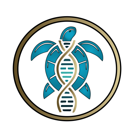 Tortulife